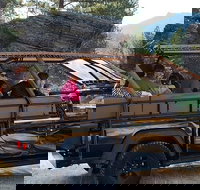 Jeep Bison Safari - Custer State Park - Orlando Tourists