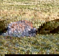 Private Tour - Badlands Delta 9 Missile Museum  Wall Drug - Orlando Tourists