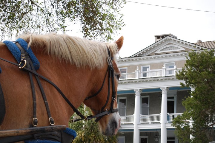 1 Historical Horse Drawn Carriage Tour