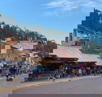 Private VIP Mt. Rushmore Deadwood and Devils Tower Day Tour - Orlando Tourists