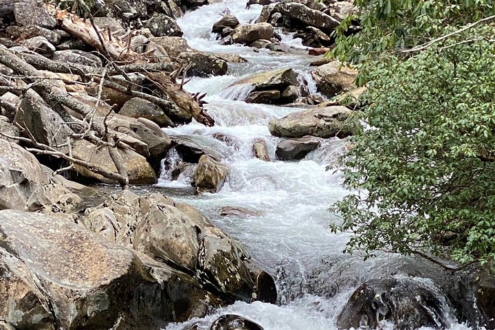 Thundering Streams and Falls of the Smokies Guided Hiking Tour