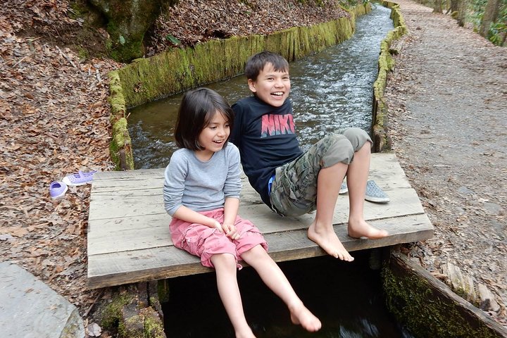 Explore a Simpler Time Smoky Mountain Tour