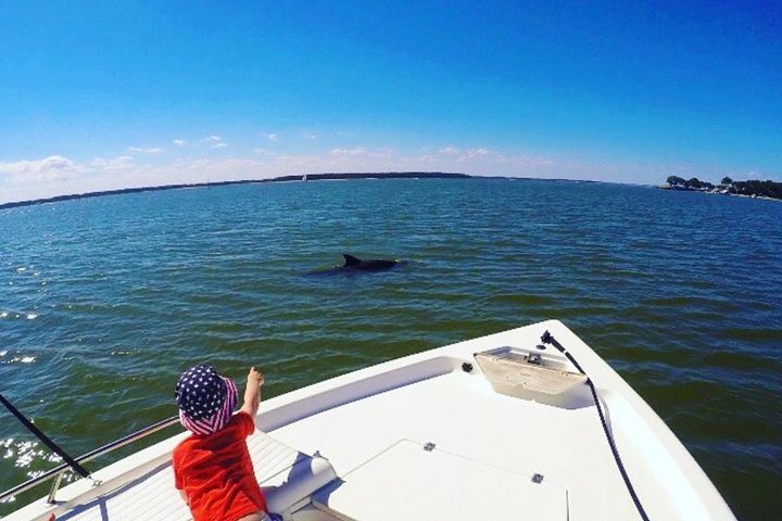 Private Hilton Head Dolphin Watching Tour with Waterfront Dining Stops