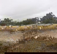 Private Badlands National Park Day Tour - Orlando Tourists