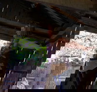 Cosmos Mystery Area Admission - Orlando Tourists