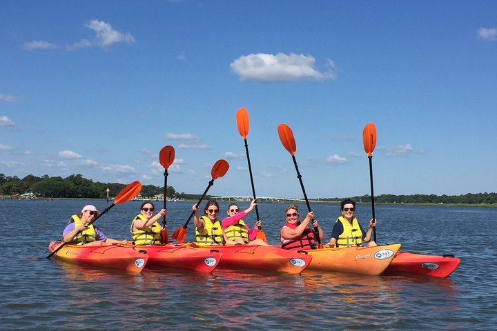 2-Hour Guided Kayak Nature Tour of Hilton Head