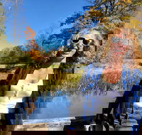 Scenic Guided Motorcycle Tours by MotoPlaN8 Handlebars - Orlando Tourists