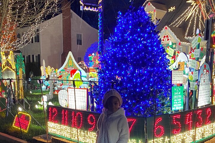 Half-Day Holiday And Tacky Lights Tour In Richmond - thumb 1