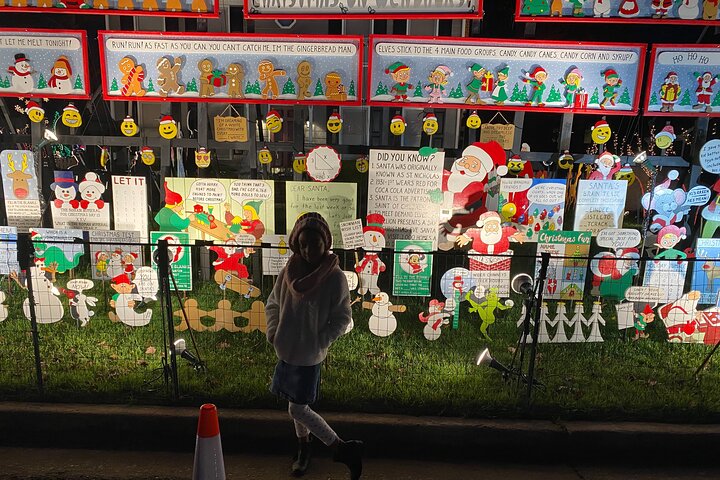 Half-Day Holiday And Tacky Lights Tour In Richmond - thumb 2