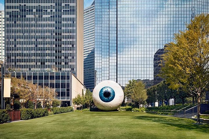 Private Transfer From Dallas Airport DFW To Dallas In Luxury Van - thumb 4