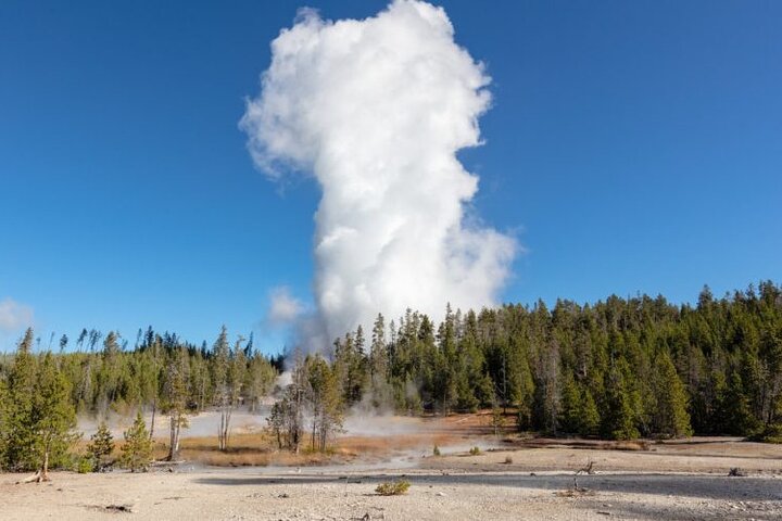 Full-Day Private Safari of Yellowstone