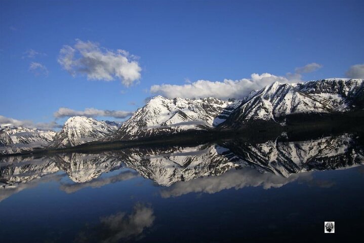 Small Group Tours of the Lower Loop of Yellowstone