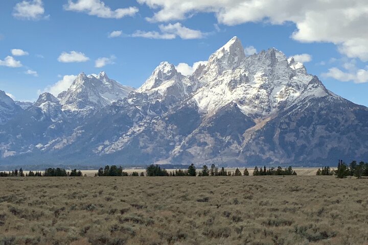 Grand Loop Yellowstone Wildlife and Photo Tour