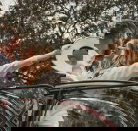 Private Historic Savannah Tour in a Vintage Citron - Orlando Tourists