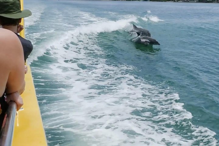 Clearwater Beach Day Trip From Orlando With Optional Upgrades - thumb 2