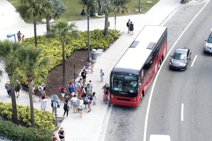 Clearwater Beach Bus Express - thumb 5