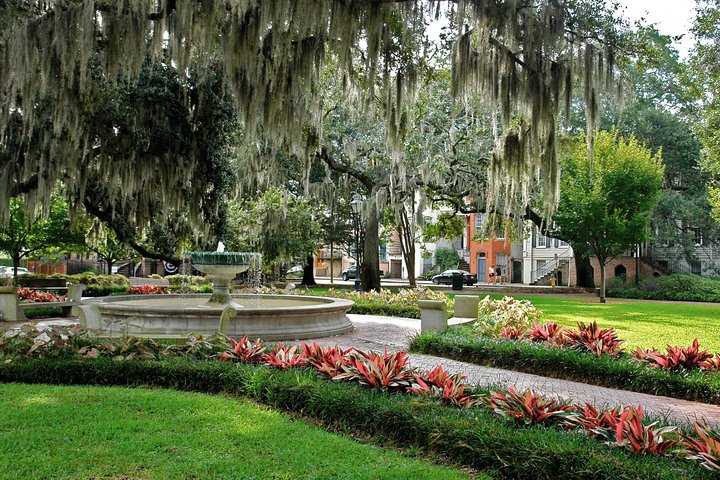 Savannah Land & Sea Combo: City Sightseeing Trolley Tour With Riverboat Cruise - thumb 1