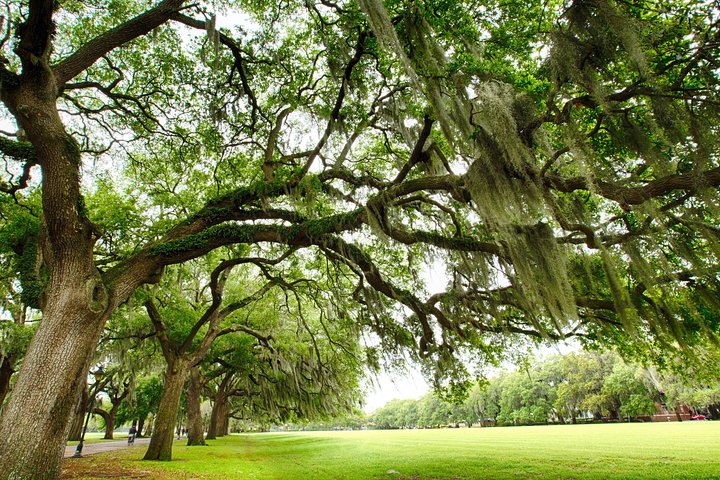 Savannah Land & Sea Combo: City Sightseeing Trolley Tour With Riverboat Cruise - thumb 4