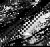 Genteel and Bard's Savannah Dark History and Ghost Walking Tour - Orlando Tourists