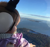 Platinum Package - Helicopter Tour with Dinner at Ruth's Chris or Capital Grille - Orlando Tourists