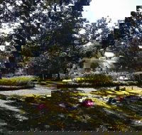 Yoga in Forsyth Park - Orlando Tourists