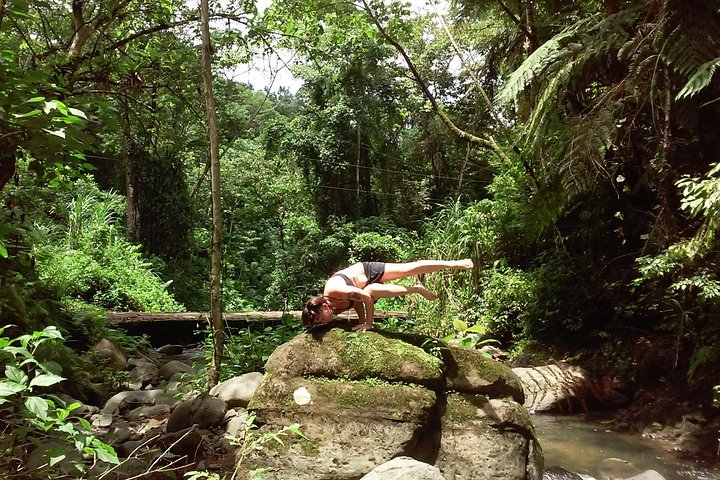 Yoga In Forsyth Park - thumb 4