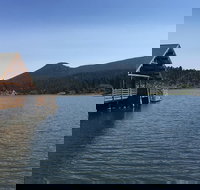 Private Denver and Foothills Mountain Tour - Orlando Tourists