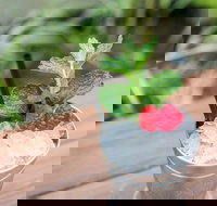 Small-Group Cocktail Tour in Denver - Orlando Tourists