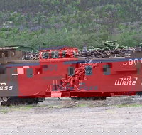Skagway Shore Excursion White Pass Summit Rail and Bus Tour - Orlando Tourists