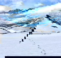 White Pass Mountaineering Adventure - Orlando Tourists