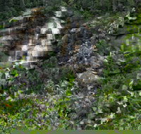 Custom Small-Group Extended Yukon Drive from Skagway - Orlando Tourists