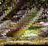 Nature Tour to Dyea - Orlando Tourists