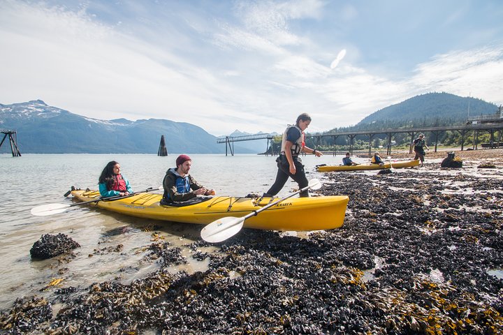 Inside Passage Sea Kayaking From Skagway - thumb 4