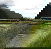 Chilkoot Horseback Adventure - Orlando Tourists