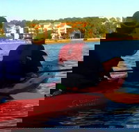 Dolphins and Wildlife Kayak Experience from Gulf Shores - Orlando Tourists