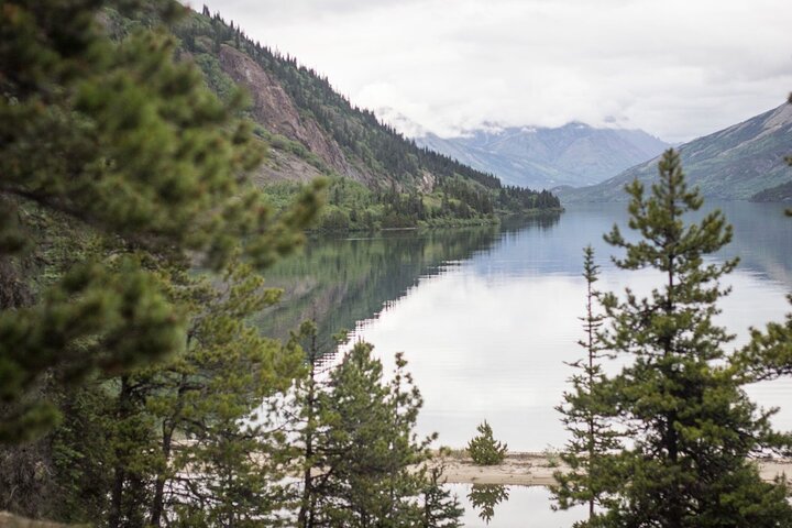 Brave The Bridge 7-hour Scenic Journey To The Yukon And Yukon Suspension Bridge - thumb 0