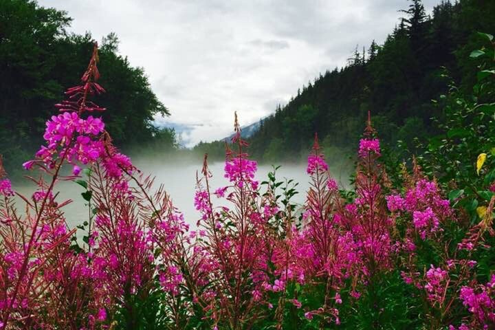Brave The Bridge 7-hour Scenic Journey To The Yukon And Yukon Suspension Bridge - thumb 1