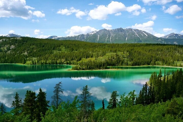Brave The Bridge 7-hour Scenic Journey To The Yukon And Yukon Suspension Bridge - thumb 3