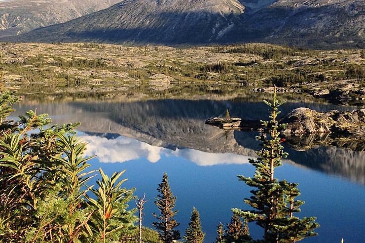Brave The Bridge 7-hour Scenic Journey To The Yukon And Yukon Suspension Bridge - thumb 5