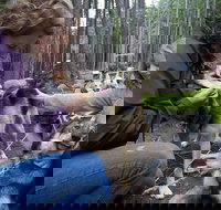 Sled Dog Discovery in Skagway - Orlando Tourists